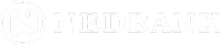 Nedlogo 1